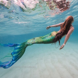 Mermaids image